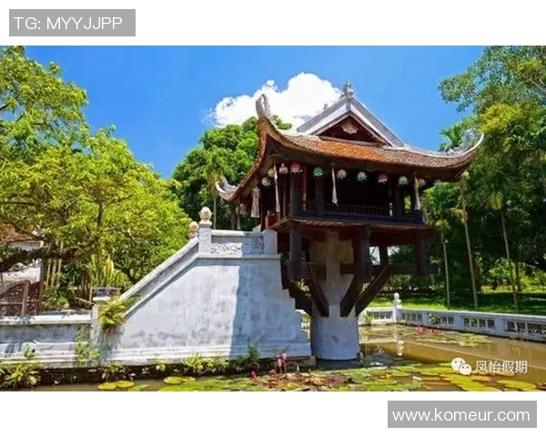 掸联与南缅甸的对决分析及未来发展趋势探讨