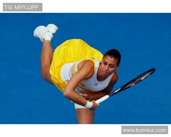 李娜与佩内塔的巅峰对决揭示网球赛场的激情与荣耀 李娜与佩内塔的巅峰对决揭示网球赛场的激情与荣耀